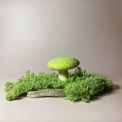 Mushroom Candle