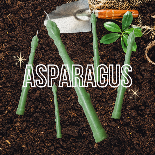 Asparagus Candle