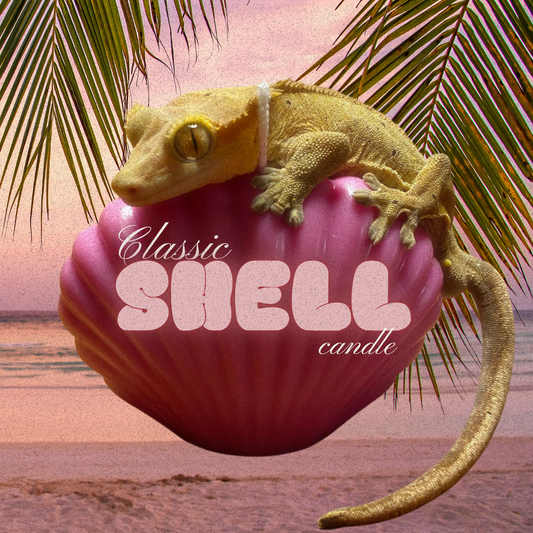 Classic Shell Candle