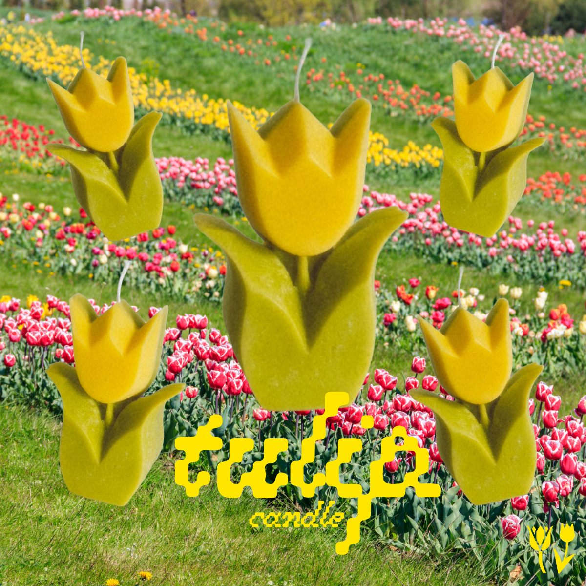 Tulip Candle